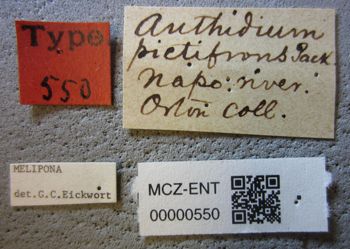 Media type: image;   Entomology 550 Aspect: labels